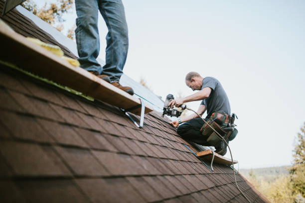 Best Roof Gutter Cleaning  in Bystrom, CA